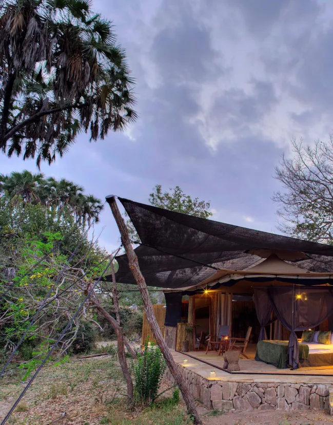 The Ultimate Safari Experience for Families in Tanzania